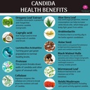 candida-support-aids-digestion-intestina-4.jpg