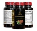 candida-support-supplement-digestive-aid-5.jpg