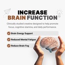 amp-science-creatine-monohydrate-60-serv-3.jpg