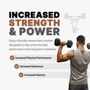 amp-science-creatine-monohydrate-60-serv-2.jpg