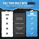 animal-micronized-creatine-monohydrate-c-4.jpg