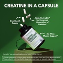 micronized-creatine-monohydrate-capsules-4.jpg