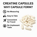 micronized-creatine-monohydrate-1000-cap-4.jpg
