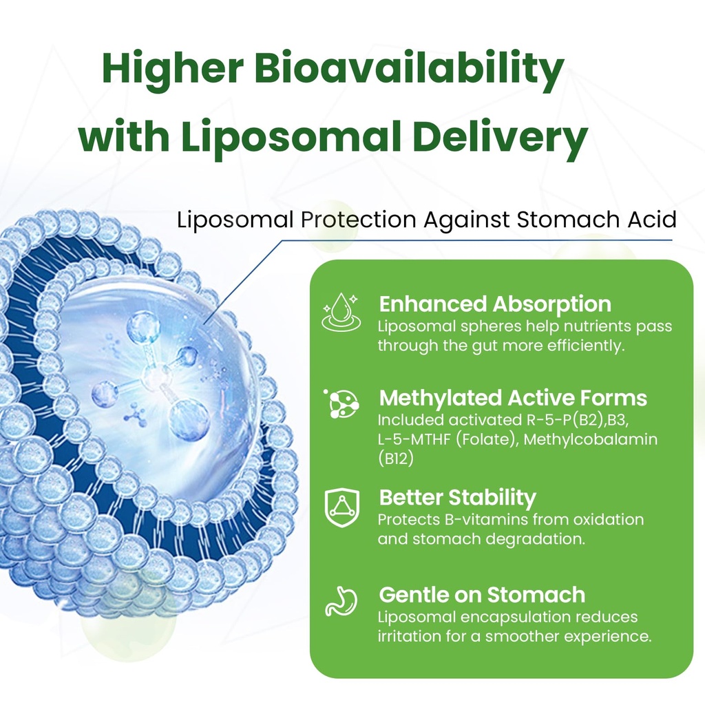 liposomal-b-complex-for-high-absorption--2.jpg