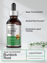 horb-ach-burdock-root-tincture-2-fl-oz-s-4.jpg