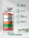 horb-ach-ashwagandha-gummies-60-vegan-ch-5.jpg