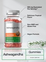 horb-ach-ashwagandha-gummies-60-vegan-ch-4.jpg