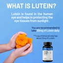 vison-care-plus-complete-dietary-supplem-3.jpg