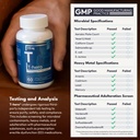 essential-elements-t-hero-daily-testoste-2.jpg