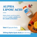 doctor-s-best-alpha-lipoic-acid-suppleme-4.jpg