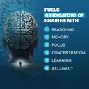 space-dust-nootropic-brain-supplement-fo-4.jpg