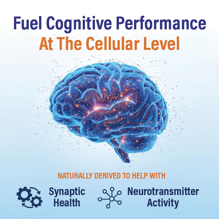 natural-brain-booster-for-memory-concent-4.jpg