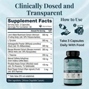 headstrong-nootropic-brain-supplement-fo-4.jpg