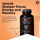 vital-vitamins-brain-booster-plus-60-ct--2.jpg