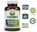 green-tea-extract-98-standardized-with-e-2.jpg