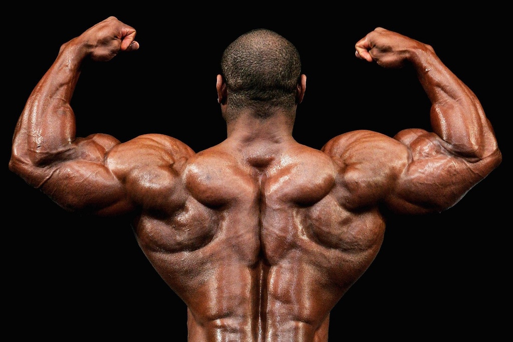 muscle-pump-pre-workout-nitric-oxide-240-3.jpg