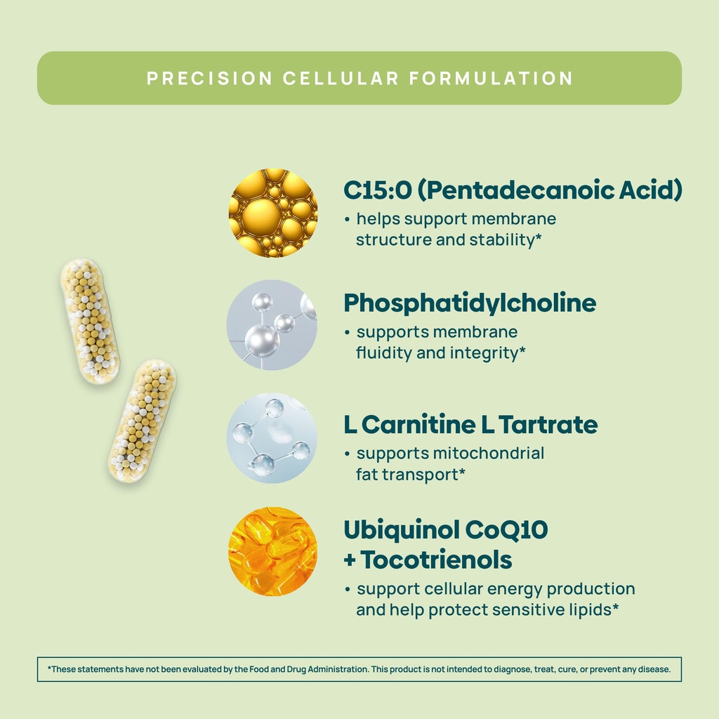 c15-0-pentadecanoic-acid-supplement-long-3.jpg