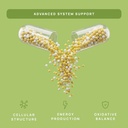 c15-0-pentadecanoic-acid-supplement-long-5.jpg