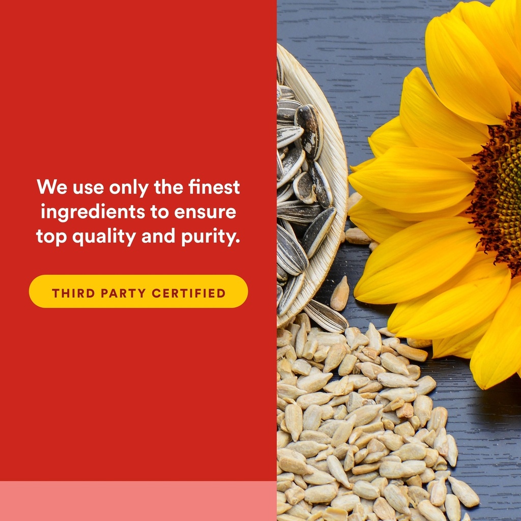 natural-factors-phosphatidylserine-suppo-5.jpg