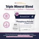 phosphorus-supplements-100-packets-dieta-3.jpg