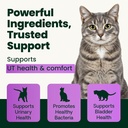 vetriscience-ut-health-powder-ut-strengt-2.jpg