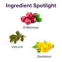 vibrant-health-u-t-vibrance-10-servings-5.jpg