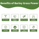 barley-grass-juice-powder-rich-in-chloro-4.jpg
