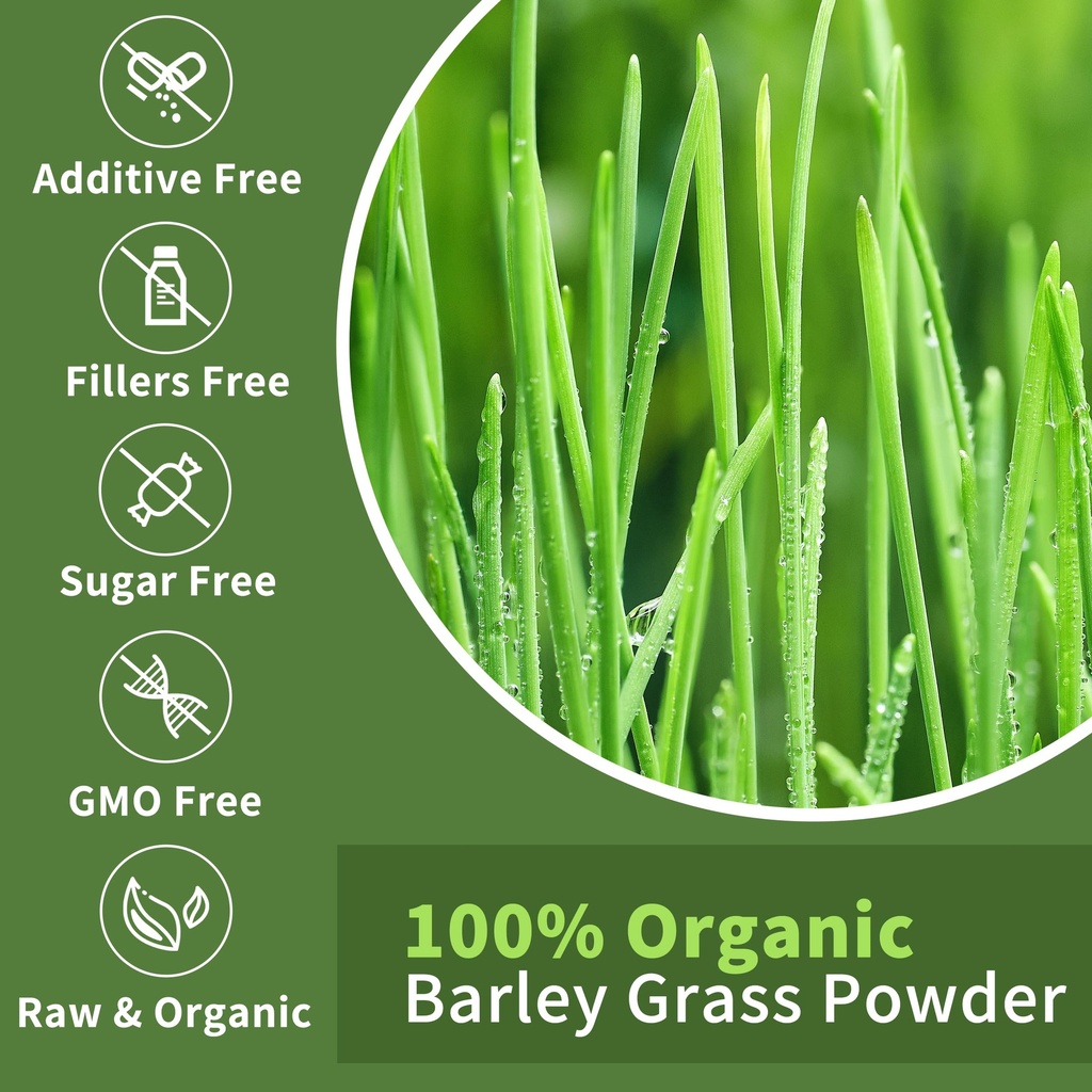 barley-grass-juice-powder-rich-in-chloro-5.jpg