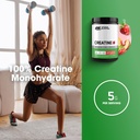 optimum-nutrition-creatine-monohydrate-p-4.jpg