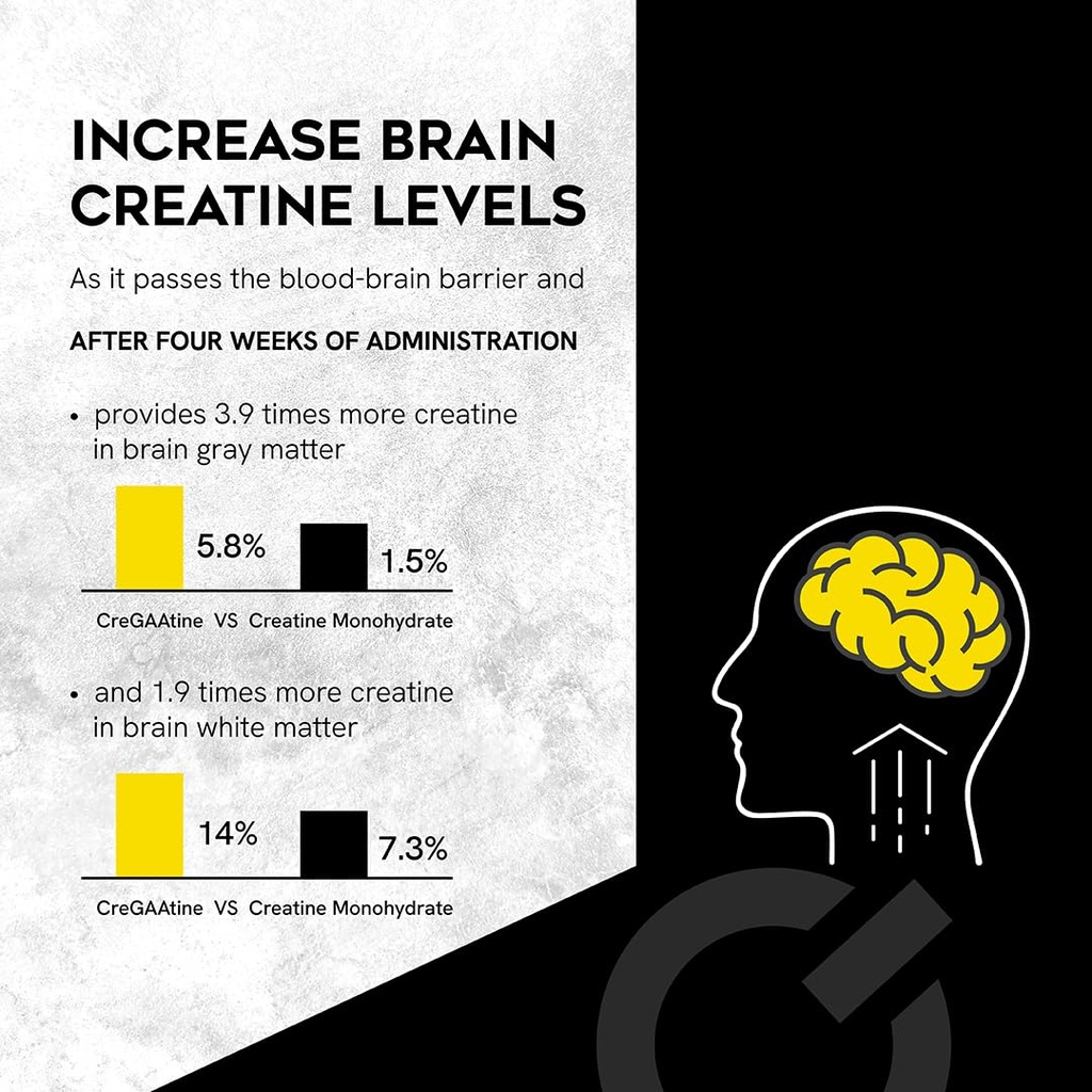 micronized-creatine-monohydrate-gaa-incr-3.jpg