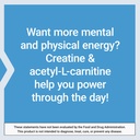 life-extension-creatine-acetyl-l-carniti-5.jpg