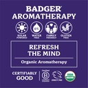 badger-headache-soother-6-oz-stick-4.jpg
