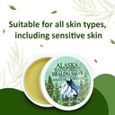 snowy-summit-alaska-rainforest-salve-her-4.jpg