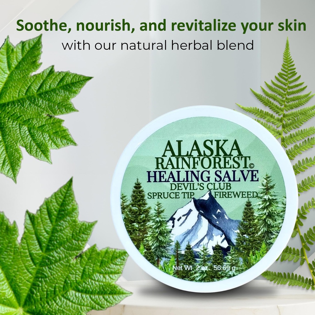 snowy-summit-alaska-rainforest-salve-her-2.jpg