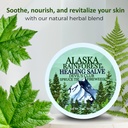 snowy-summit-alaska-rainforest-salve-her-2.jpg