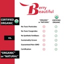 berry-beautiful-organic-meeker-red-raspb-5.jpg