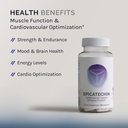 infiniwell-epicatechin-supplement-suppor-2.jpg