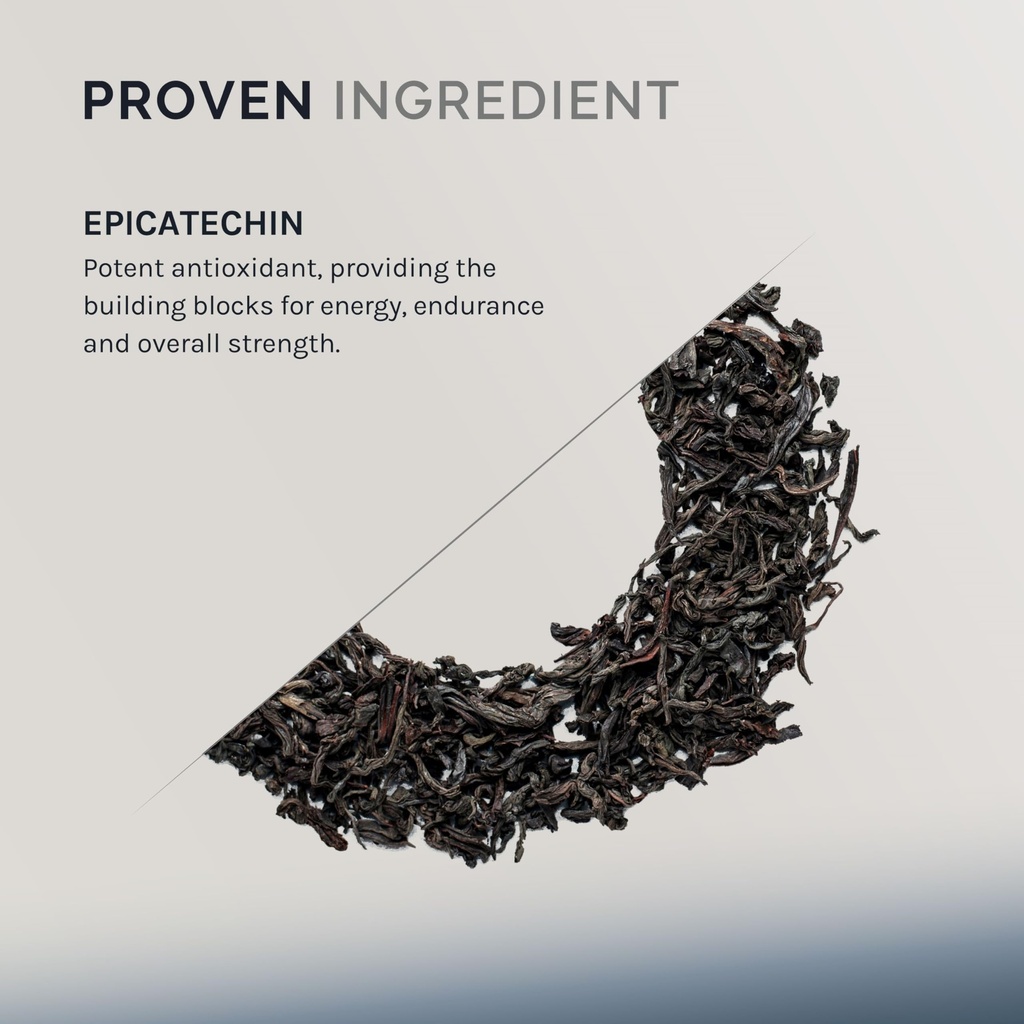 infiniwell-epicatechin-supplement-suppor-3.jpg