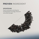 infiniwell-epicatechin-supplement-suppor-3.jpg
