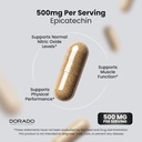 epicatechin-extract-500mg-per-serving-60-4.jpg