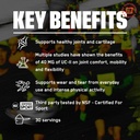 bare-performance-nutrition-bpn-strong-jo-3.jpg