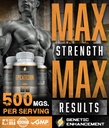 epicatechin-500mgs-per-serving-60-servin-2.jpg