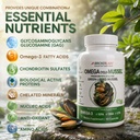 bricker-labs-omega-cyclo-mussel-joint-he-6.jpg