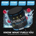 mma-nutrition-hrdwrk-electrolytes-powder-3.jpg