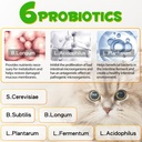 cat-constipation-relief-liquid-cat-laxat-4.jpg