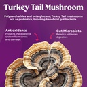 fungiments-super-prune-mushroom-suppleme-2.jpg