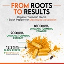 turmeric-curcumin-supplement-1800mg-orga-3.jpg