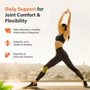 sleeve-stars-turmeric-curcumin-supplemen-5.jpg