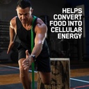 optimum-nutrition-muscle-recovery-and-en-6.jpg