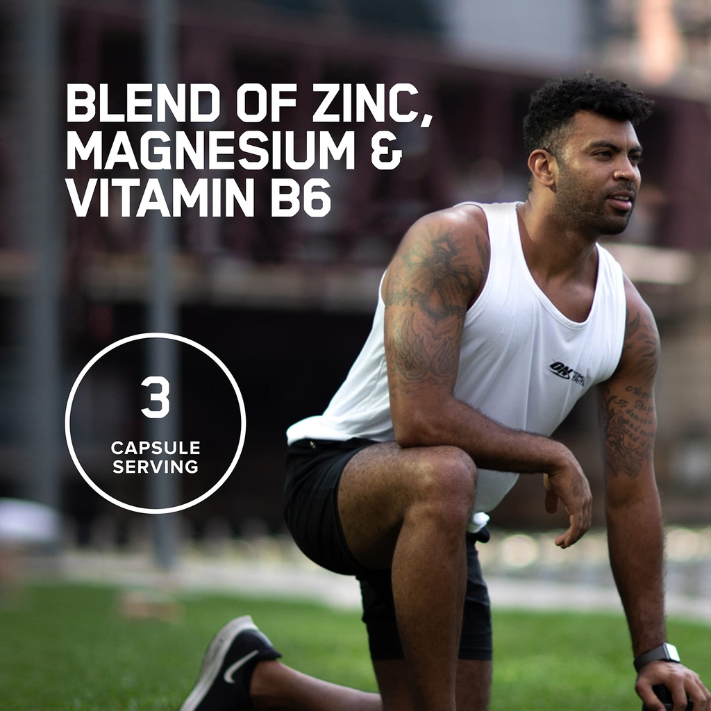optimum-nutrition-muscle-recovery-and-en-4.jpg
